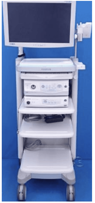 Ходоодны үян дуран